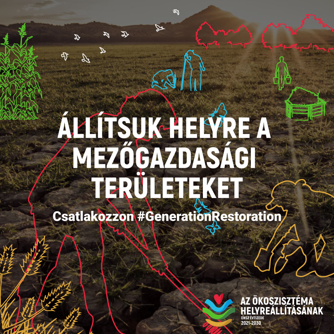 alt text is missing alt text is missing