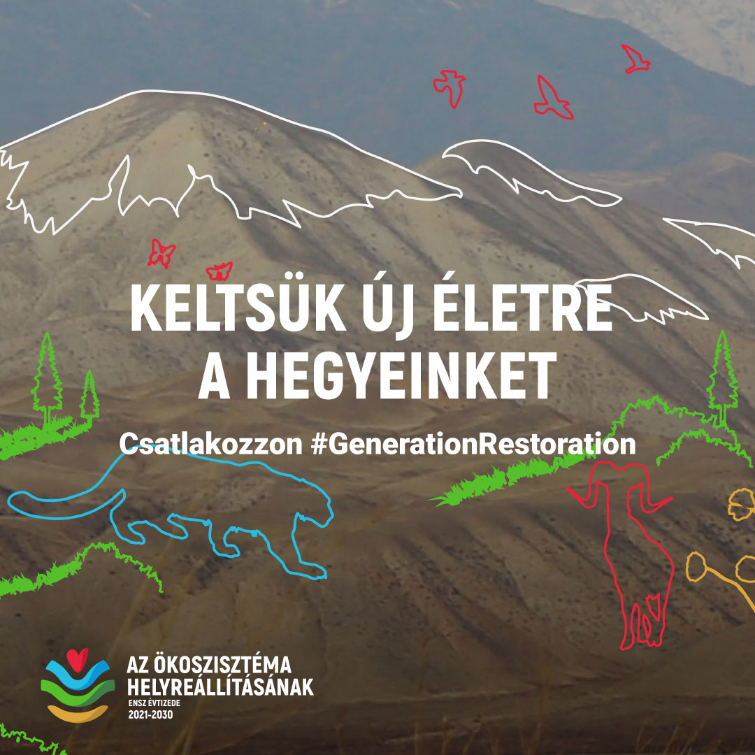 alt text is missing alt text is missing