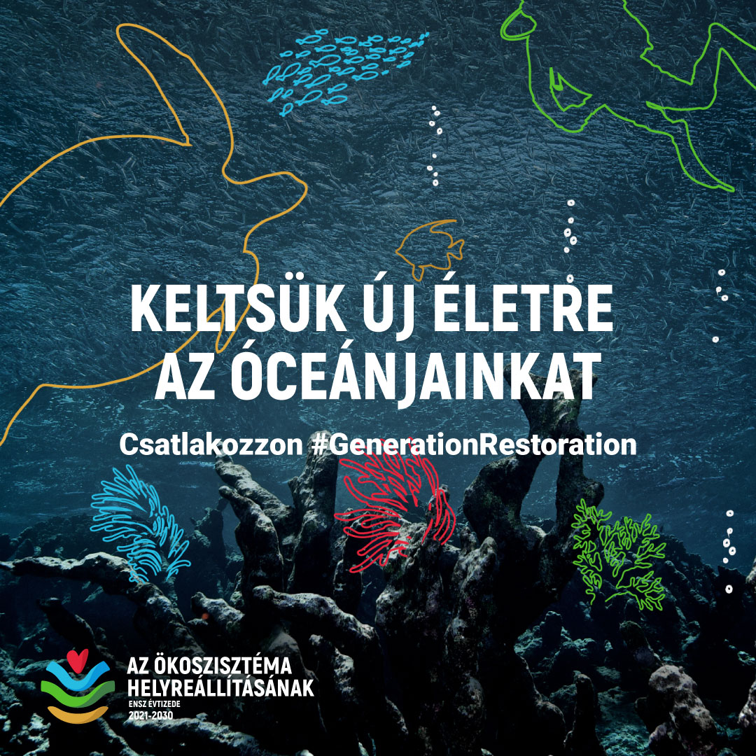 alt text is missing alt text is missing