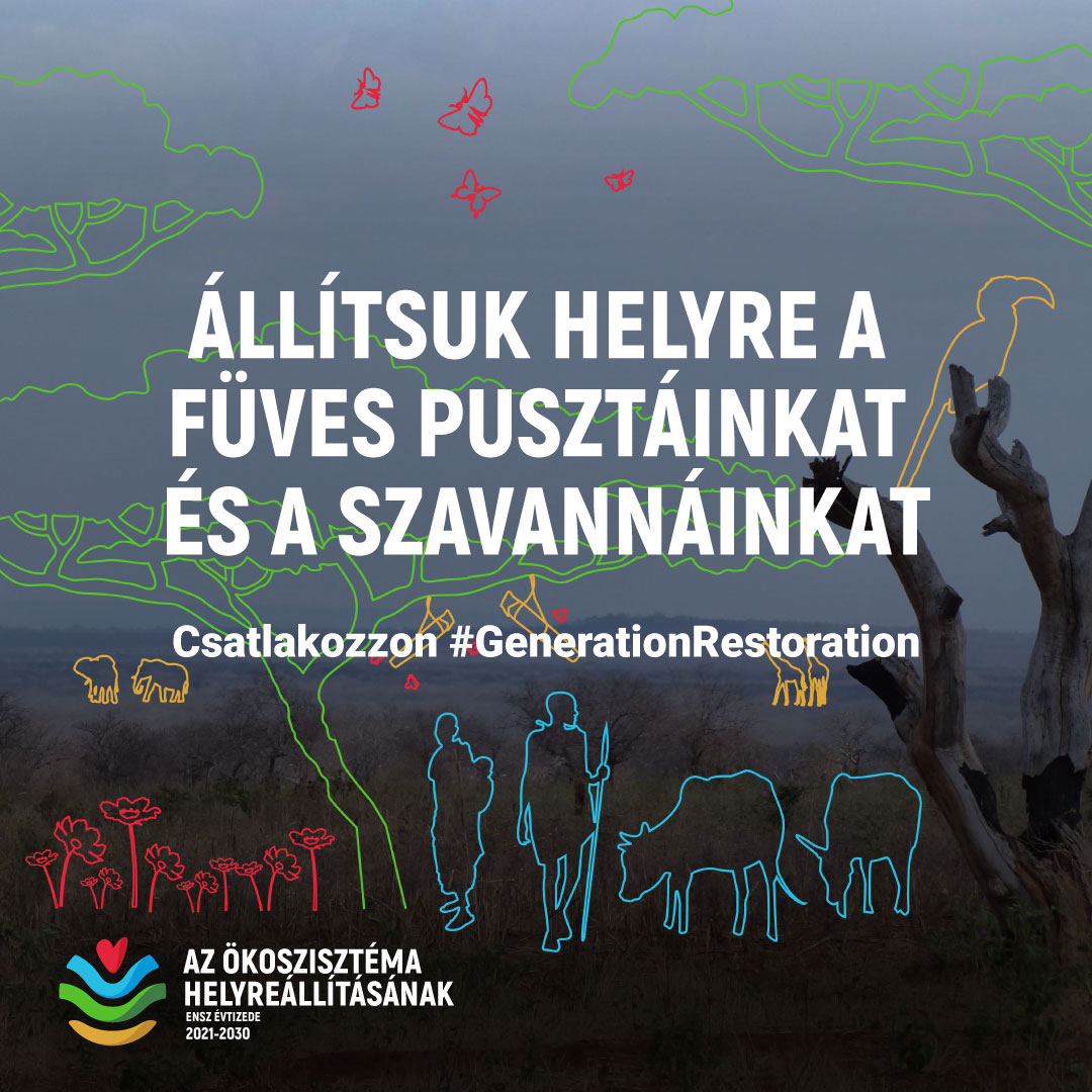 alt text is missing alt text is missing