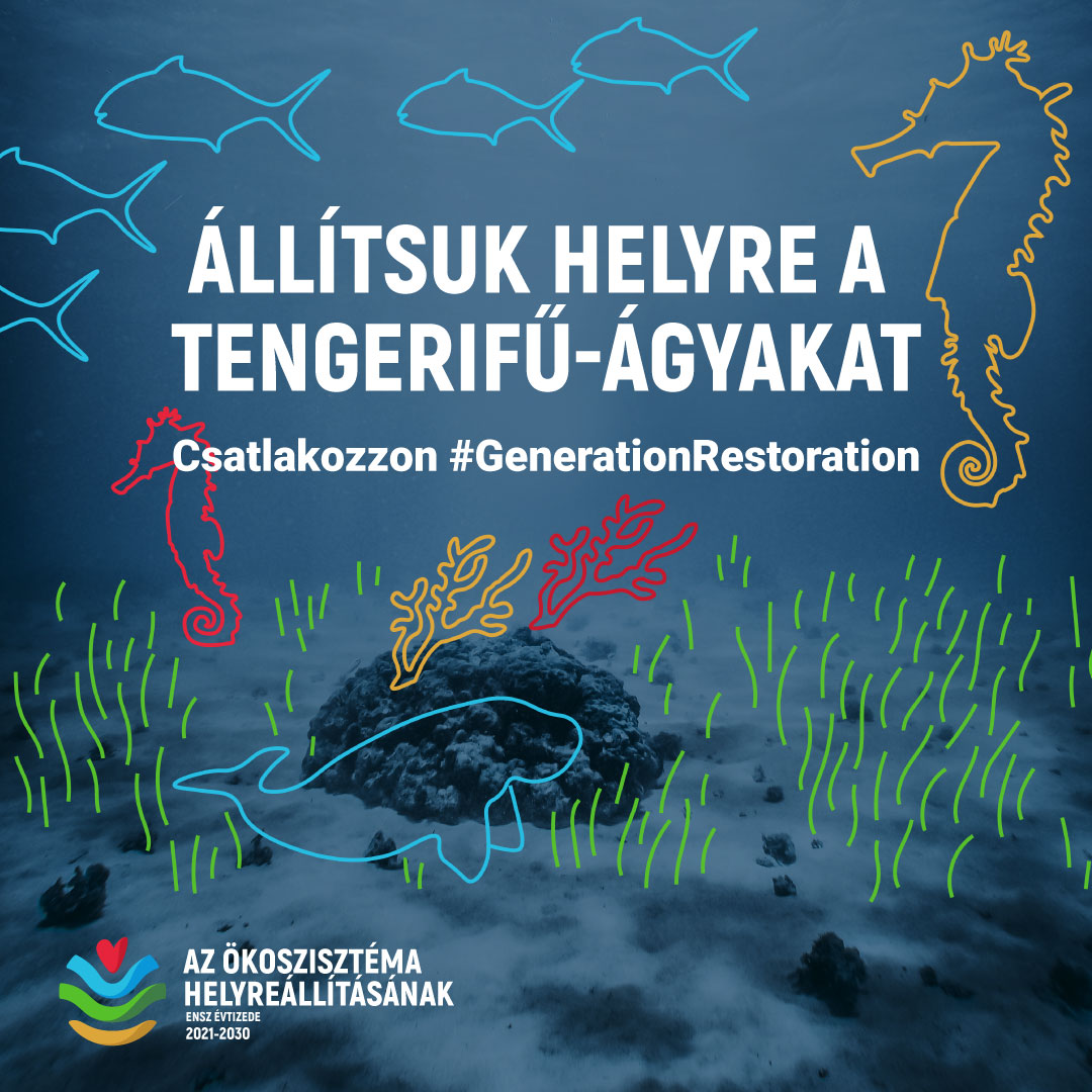 alt text is missing alt text is missing