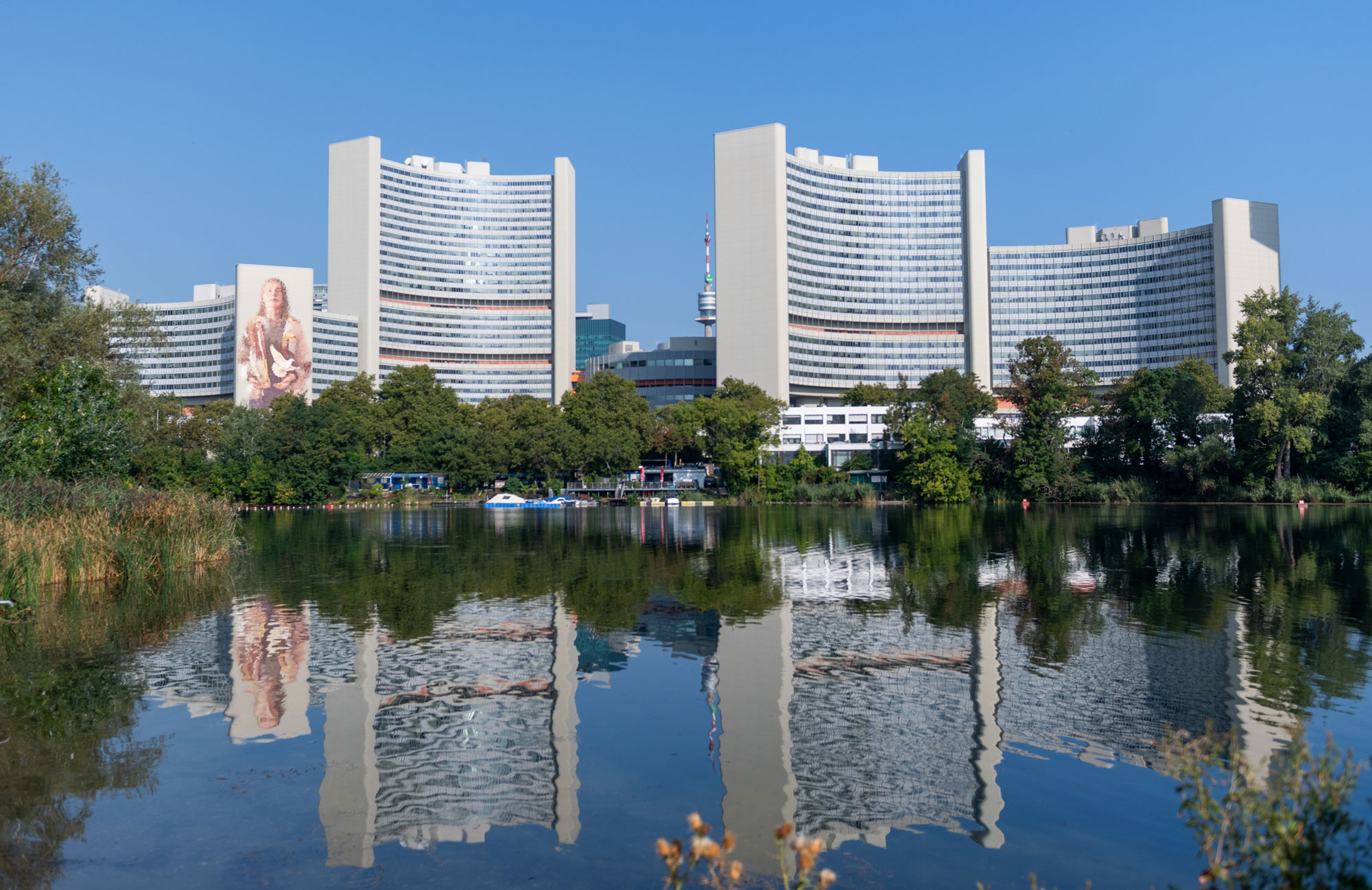 alt text is missing alt text is missing