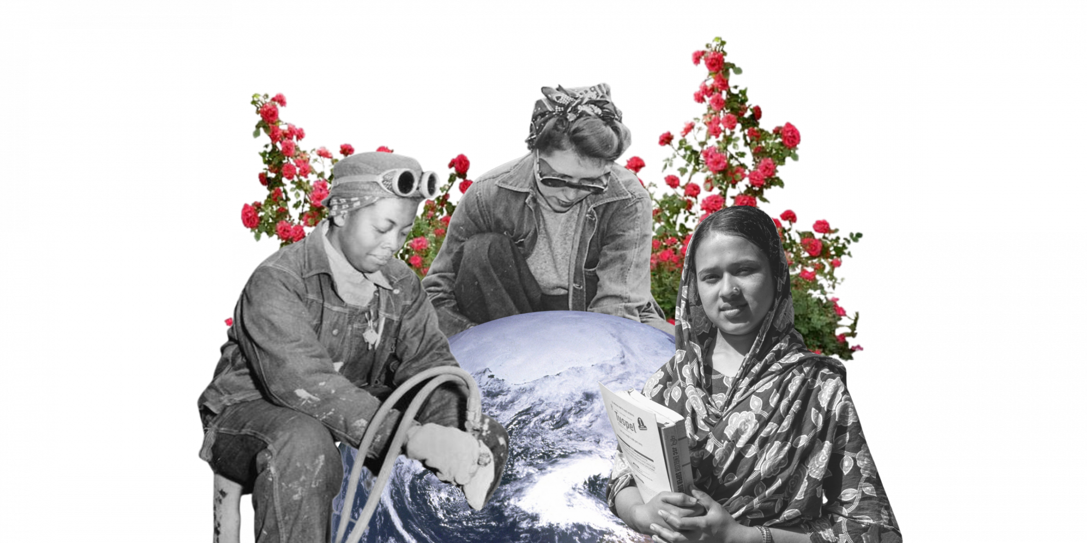 alt text is missing alt text is missing