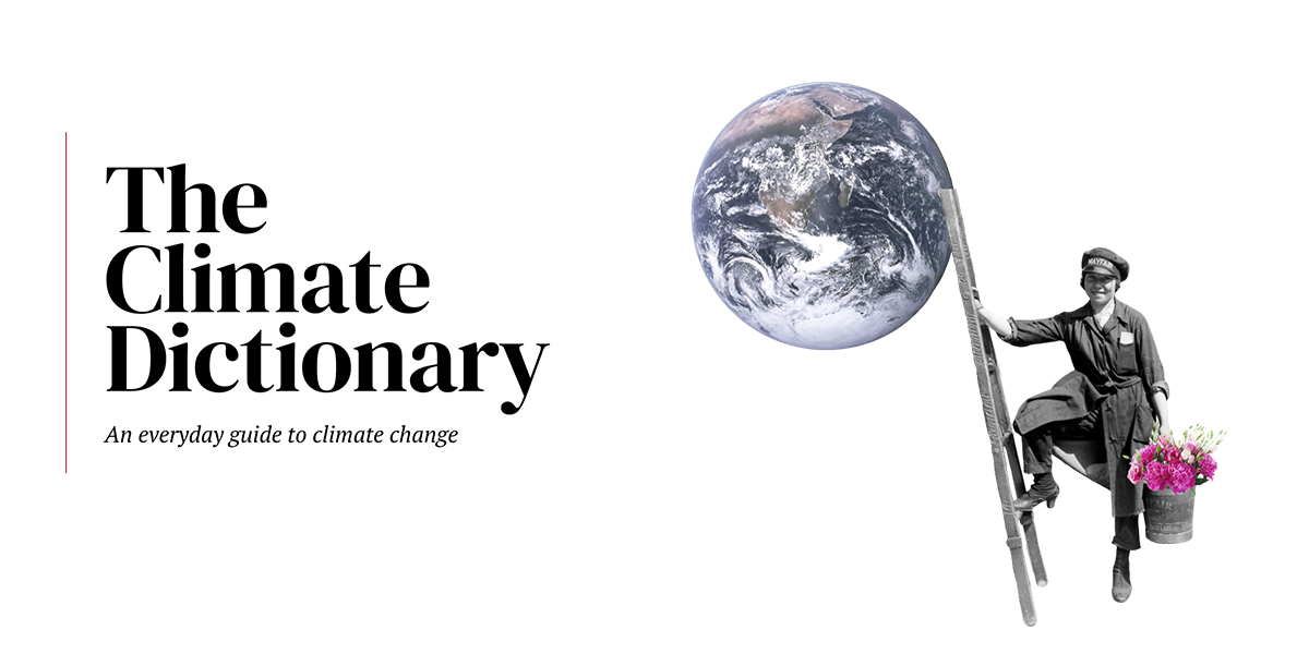 alt text is missing alt text is missing